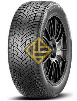205/55R17 95V XL POWERGY AllSeason