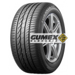 205/60R16 96 W XL ER300